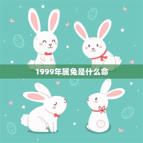 1999兔|1999年属兔是什么命，99年出生五行属什么